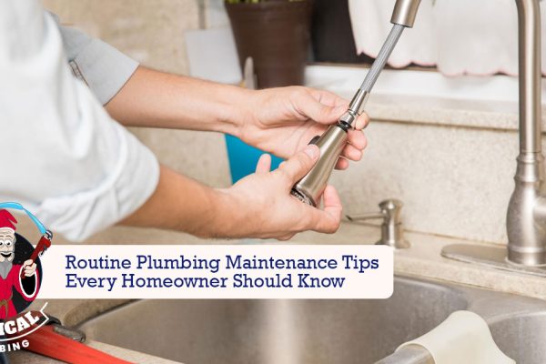 routine plumbing maintenance