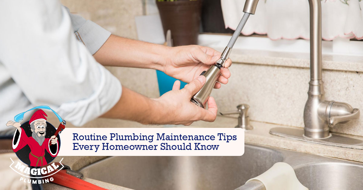routine plumbing maintenance